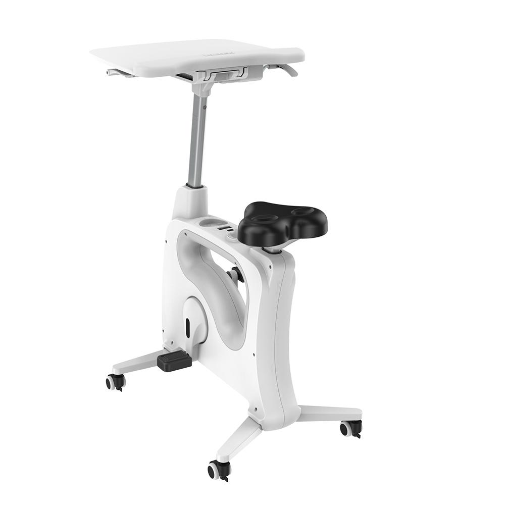 Loctek FlexiSpot V9 by Active Goods Canada back of FlexiSpot Desk Bike