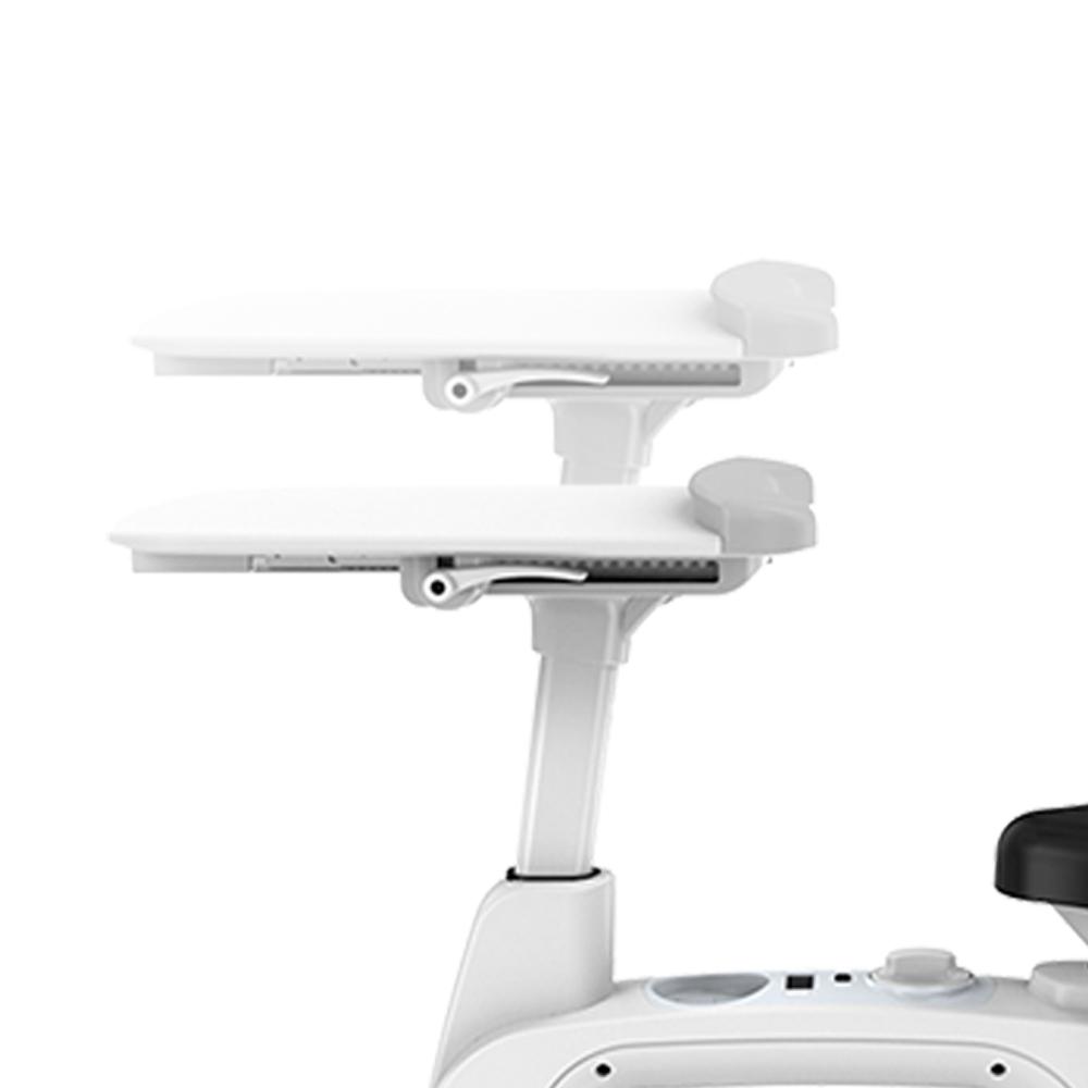 Flexispot under desk discount bike